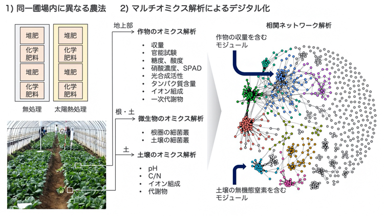 理化学研究所の研究成果「マルチオミクス解析による農業生態系のデジタル化」図